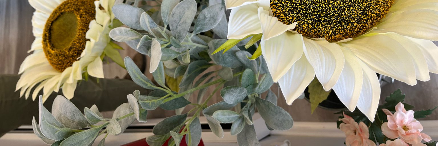 Blush’d Beauty Bar Tanning. Skincare. Nails.